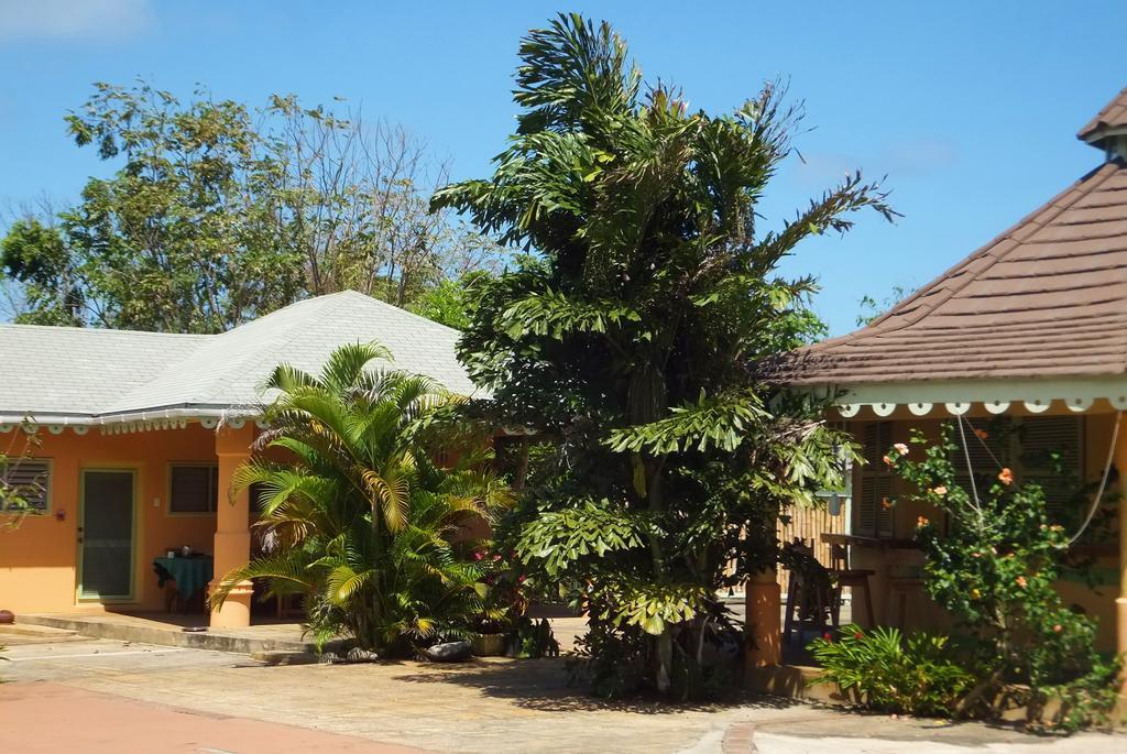Pimento Lodge Resort 포트안토니오 외부 사진