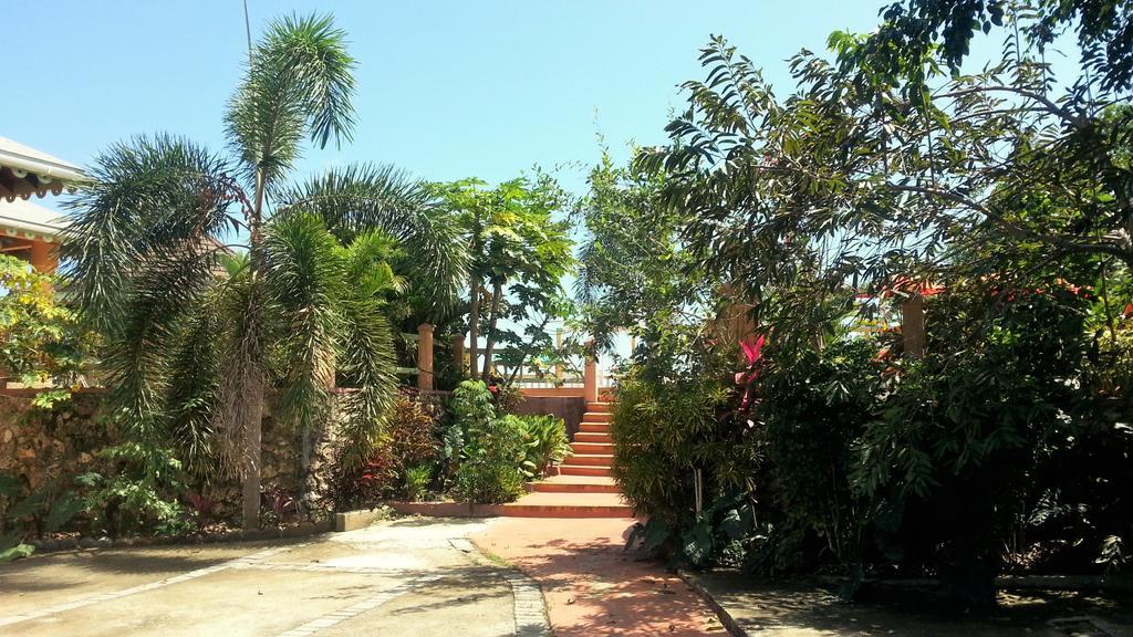 Pimento Lodge Resort 포트안토니오 외부 사진